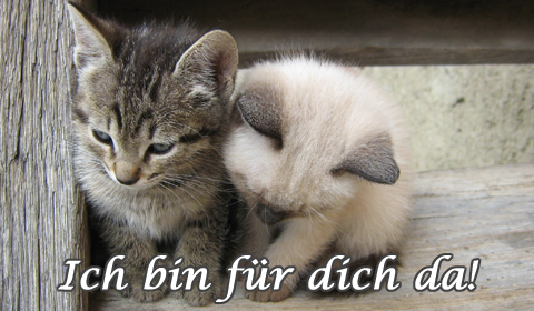 Freundschaft Grußkarten, Freundschaftssprüche, Freundschaft E-Cards, Freunde, Versende Grusskarte 106