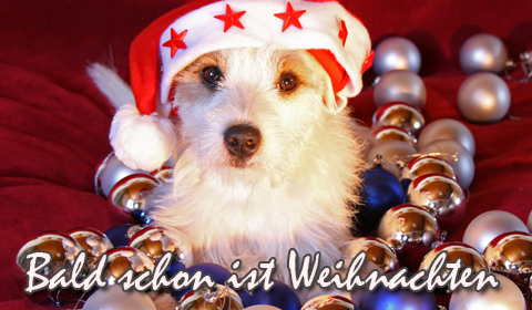 Adventsgrüße, Adventskarten, Grußkarten Advent E-Cards, Versende Grusskarte 176