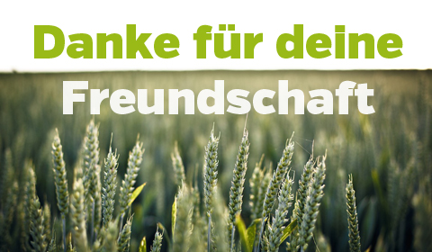 Danke für deine Freundschaft als E-Card versenden