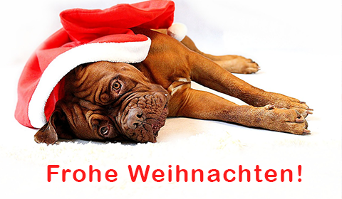 Frohe Weihnachten Hund