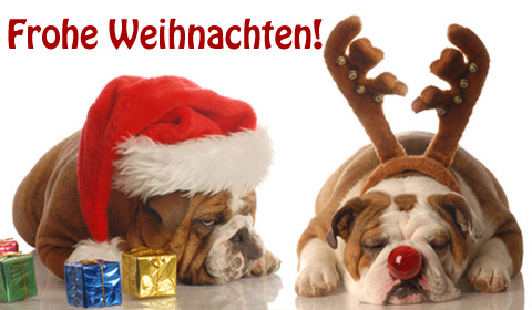 Lustige Weihnachtskarten Versenden